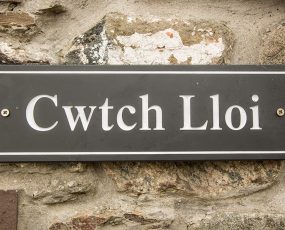cwtch_lloi1